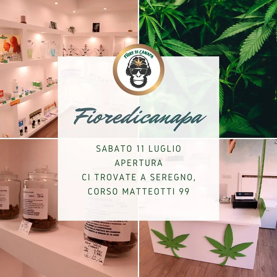 Prodotti in cannabis